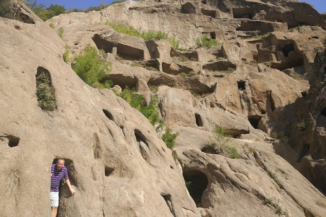 Longqingxia Gorge Cruise and Guyaju Cave Dwellings Private Day Tour - Who should book this day trip?