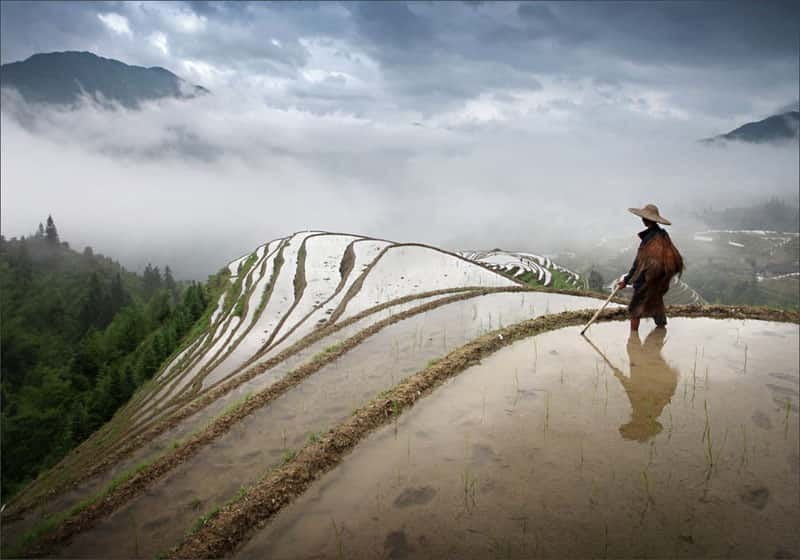Longsheng Ethnic Minority & Rice Terraces Full-Day Tour - Why the Dragon’s Backbone Rice Terraces are worth the road trip