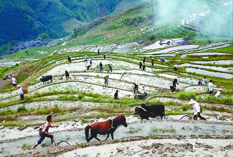 Longsheng Ethnic Minority & Rice Terraces Full-Day Tour - A Chinese lunch with a mountain setting