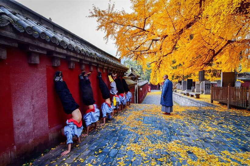 Louyang Day Tour from Xian: Longmen Grottoes, Shaolin Temple - Why this Xi’an day trip is so ambitious