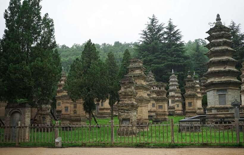 Louyang Day Tour from Xian: Longmen Grottoes, Shaolin Temple - The 6:50 am pickup and high-speed train to Luoyang