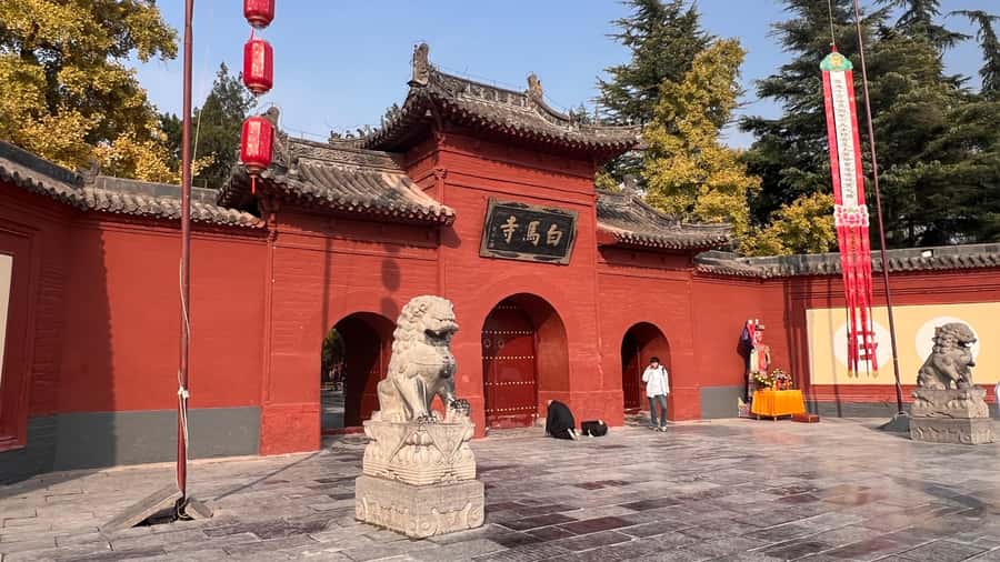 Luoyang: Day tour from Xian or LuoYang with tickets options - Who will enjoy this day trip most?