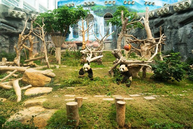 Macau Private Tour with an Insider - Key points at a glance