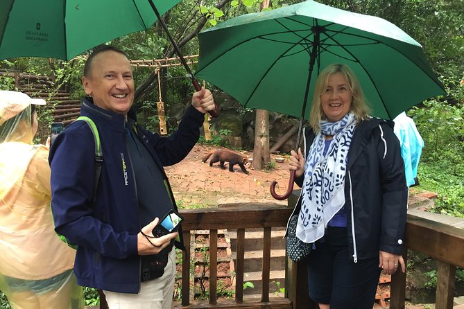 Mini Group: Half-Day Chengdu Pandas Guided Tour - Why this half-day pairing works in Chengdu