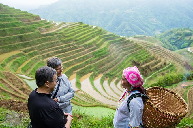Mini Group: Longji Rice Terraced Fields and Minority Villages Tour - Why the Longji terraces are worth the long ride
