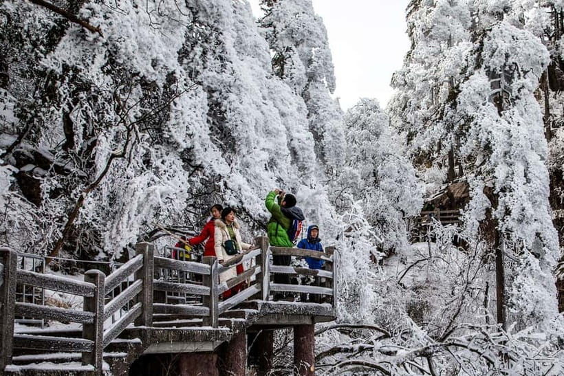 Mount Huangshan: Highlights Tour in Huangshan full-day - Weather, crowds, and expectations
