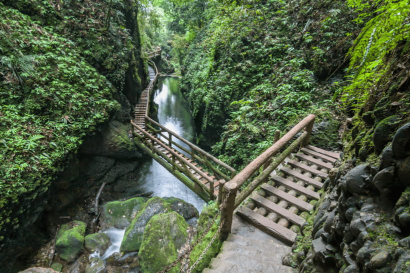 Mount Qingcheng Tour: Explore Serene and Sacred Taoist Site - Walking the temple paths and climbing higher