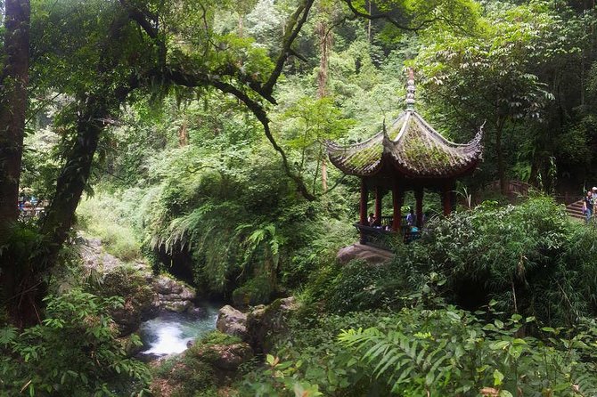 Mt Emei and Giant Buddha 2 Days Tour - Guides, drivers, and the private format