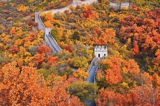 Mutianyu Great Wall and Forbidden City Private Tour with Lunch - Two Beijing icons in one carefully packed day