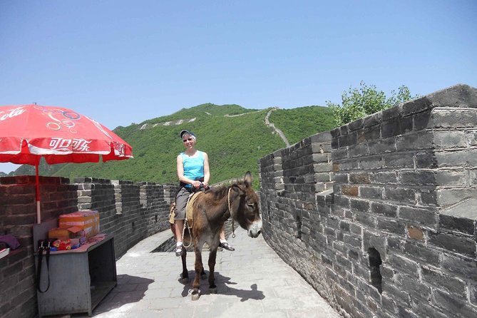 Mutianyu Great Wall and Summer Palace Private Day Trip with Lunch - Choosing the lift and toboggan