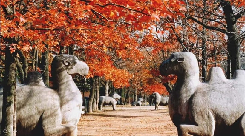 Nanjing:Must-See Attractions in One Day+Customized Itinerary - Confucius Temple and the Qinhuai River district