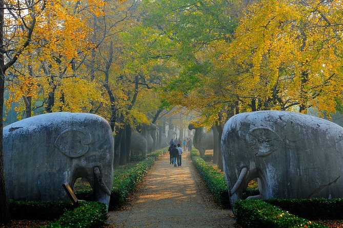 Nanjing Private English Tour Guide Service - Why a private guide works well in Nanjing