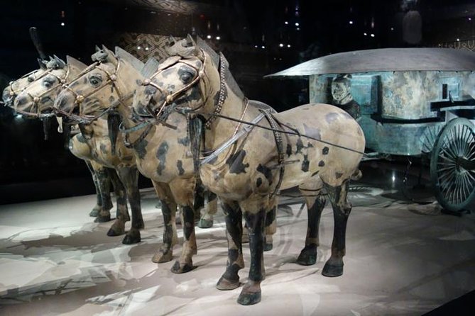 One Day Chengdu Xian Tour by Bullet Train - Why this Chengdu to Xi’an day trip works