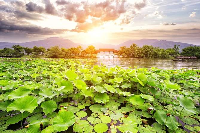 One-Day Hangzhou Dragon Well Tea Culture & West Lake Private Tour - West Lake by foot and boat