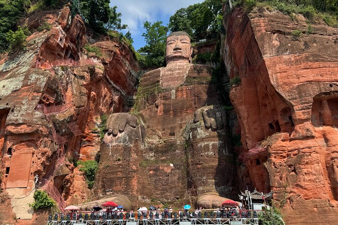 Panda and Leshan Buddha Private Tour - Starting at 7:30 am for the pandas