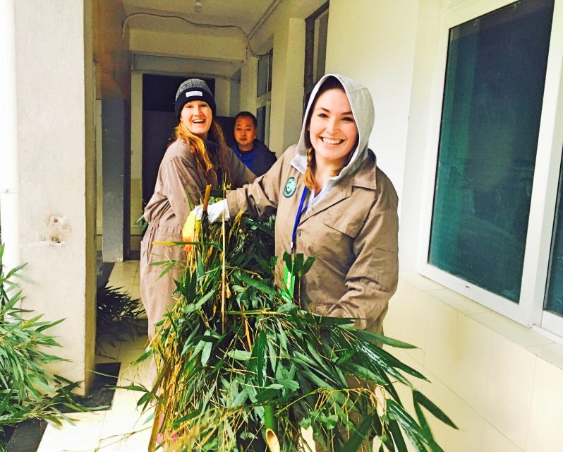 Panda Volunteer Project Day Trip(Wolong/Du Jiang Yan) - The morning project, cleaning, bamboo, and keeper guidance