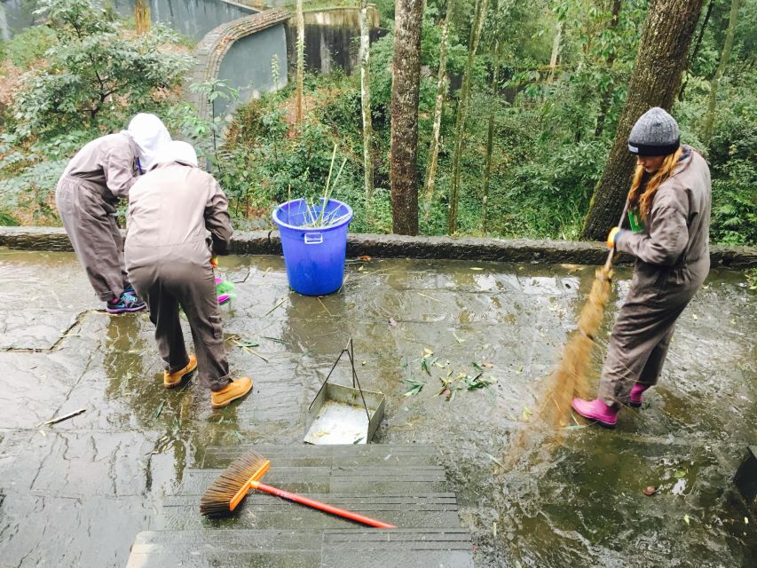 Panda Volunteer Project Day Trip(Wolong/Du Jiang Yan) - How Kevin can shape the day