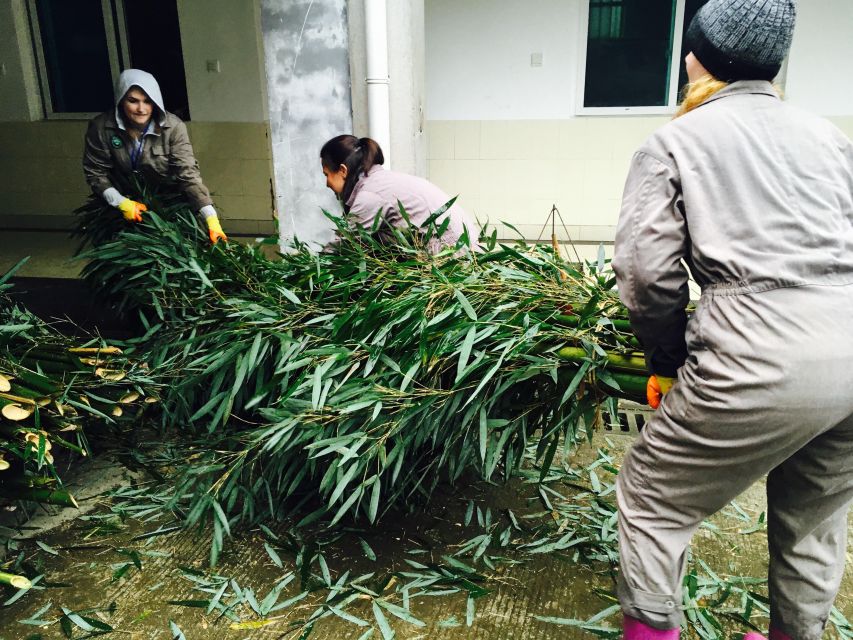 Panda Volunteer Project Day Trip(Wolong/Du Jiang Yan) - Practical preparation for a smoother day