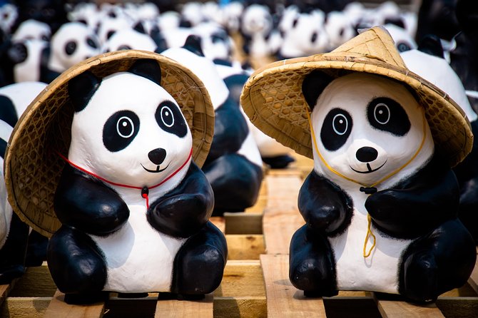 Private Day Tour: Dujiangyan Panda Base and Irrigation Project - Why combine pandas with Dujiangyan?