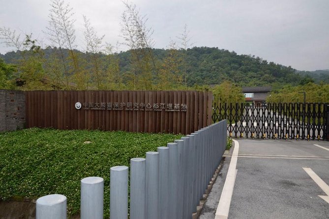 Private Day Tour: Dujiangyan Panda Base Volunteering from Chengdu - Why the Dujiangyan Panda Base day feels different
