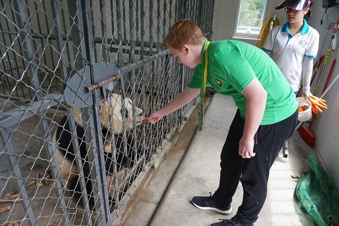 Private Day Tour: Dujiangyan Panda Base Volunteering from Chengdu - The 7:00 a.m. pickup from Chengdu