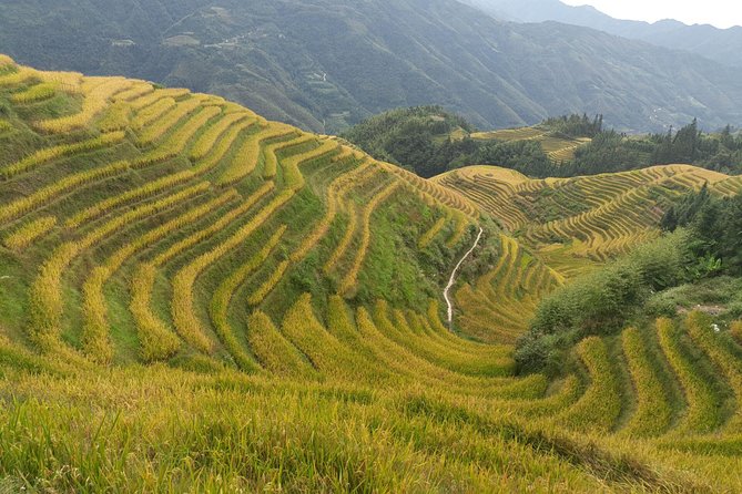 Private Day Tour: Longji Rice Terraces and Long Hair Village - Why the Longji terraces make a strong day trip