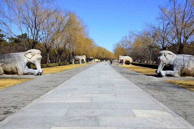 Private Day Tour of Juyongguan Great Wall and Sacred Way from Beijing - Who should book this private day trip?