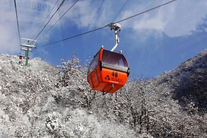 Private Day Tour to Beijing Mutianyu Great Wall - Cable car down or a toboggan finish