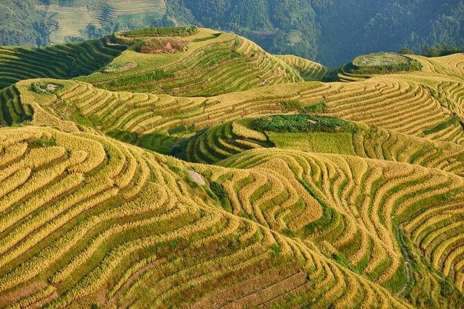 Private Day Tour to Longji Rice Terraces and Long Hair Village from Guilin - Key points to know before booking