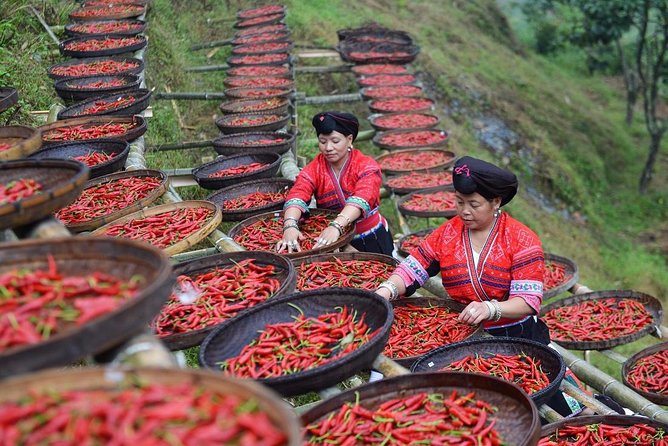 Private Day Tour to Longji Rice Terraces and Long Hair Village from Guilin - Is $158 per person good value?