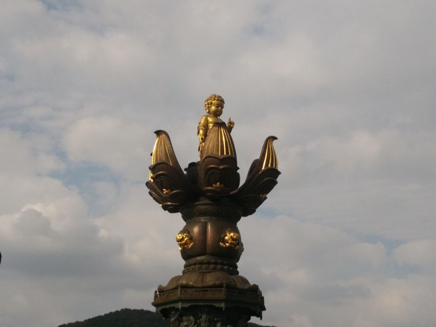 Private Day Tour to Wuxi Lingshan Grand Buddha and Tai Lake - Why this day trip works from Shanghai