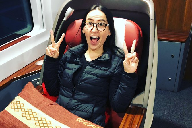 Private Day Trip to Terracotta Army from Beijing by Bullet Train - Who will get the most from this long day