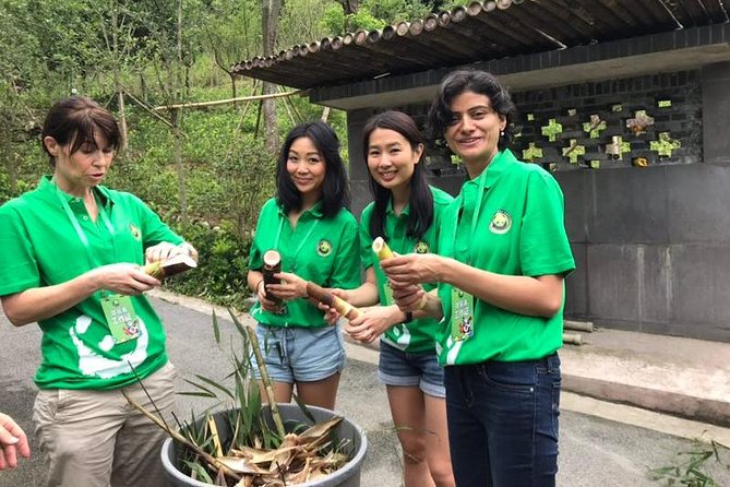 Private Dujiangyan Panda Base Panda Rescue Center Volunteer for a Day - The early drive from Chengdu to Dujiangyan