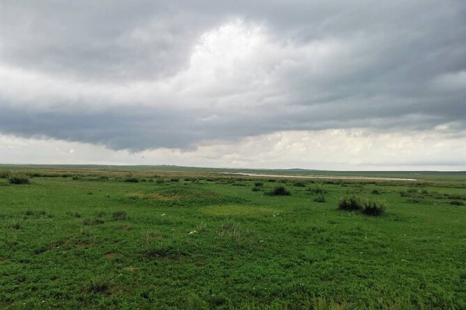 Private Full-Day Tour to Huitengxile Grassland from Hohhot - What the Mongolian culture stop adds