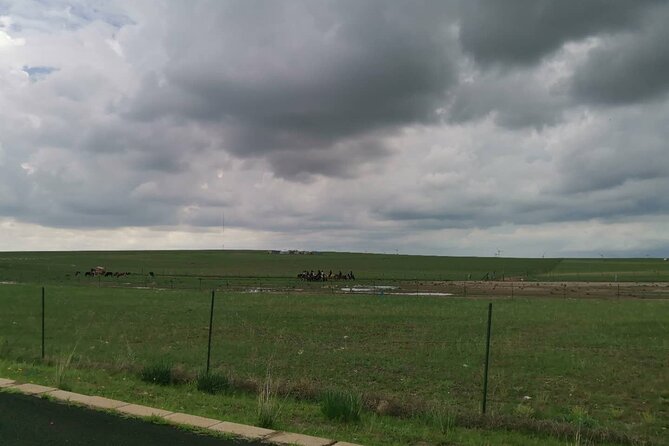 Private Full-Day Tour to Huitengxile Grassland from Hohhot - Four hours among yurts, sheep, and open meadow