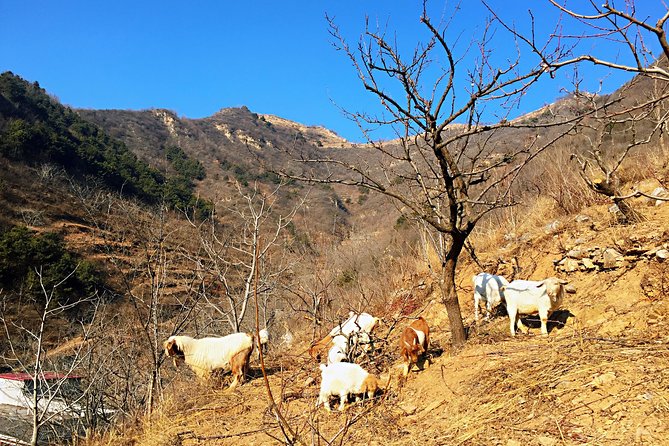 Private Great Wall Hiking Tour: Across The Border of 3 China Provinces - The village lunch after the hike