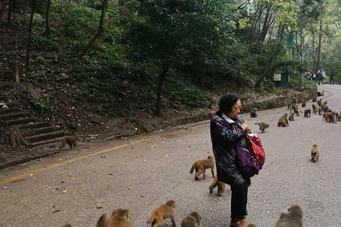 Private Guiyang Day Tour including Qingyan Ancient Town and Qianling Park - Why this private Guiyang day makes sense