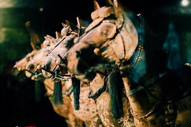 Private Half-Day Tour of Xi'an Terracotta Warriors - How the private format changes the day