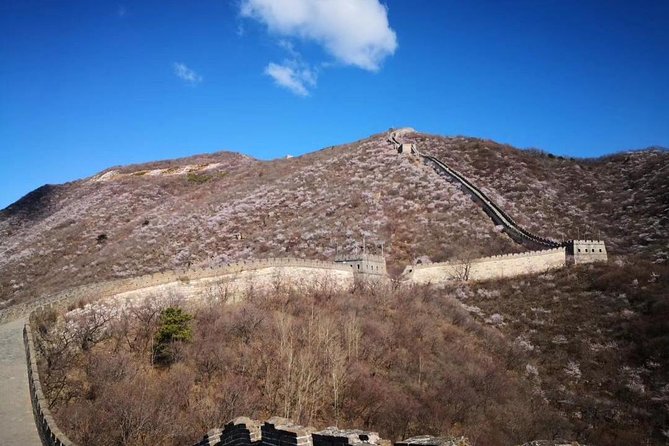 Private Layover Tour to Mutianyu Great Wall and Forbidden City - Dumplings and a local restaurant stop
