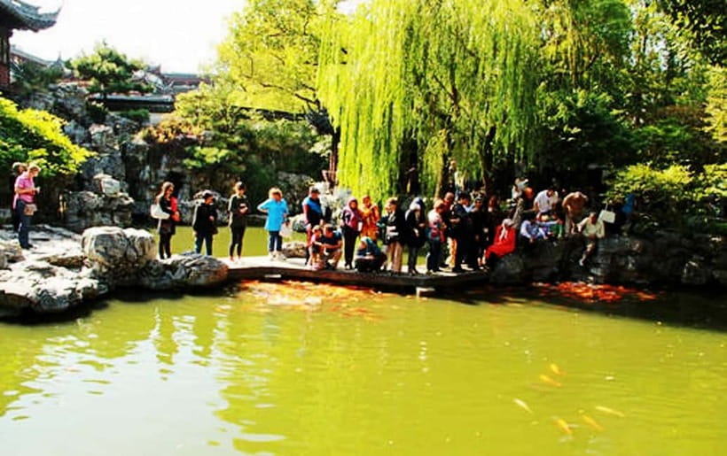 Private Shanghai Full Day City Tour with Old &New Highlights - Yu Garden and the zigzag bridge