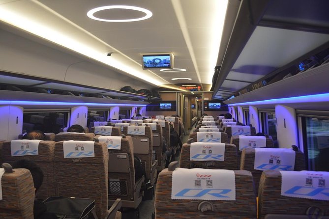 Private Tianjin Port Departure Transfer from Beijing by Bullet Train Experience - Arriving at Tianjin Railway Station