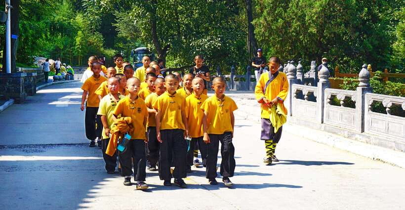 Private Tour: Longmen Grottoes, Shaolin Temple & Kungfu Show - Why Longmen and Shaolin belong together