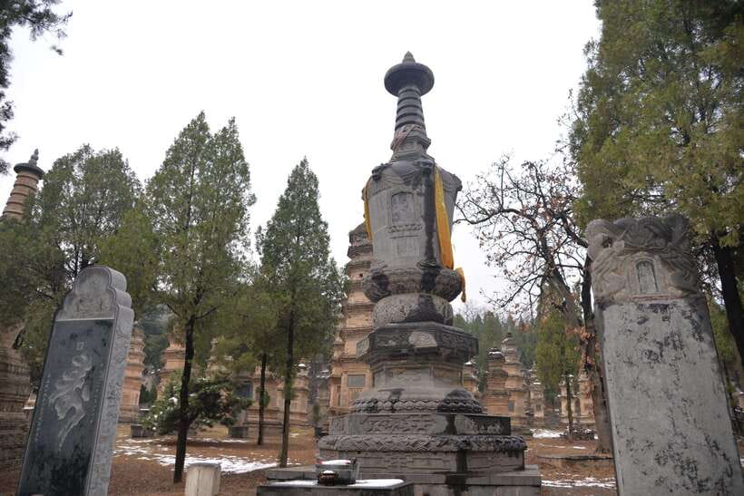 Private Tour: Longmen Grottoes, Shaolin Temple & Kungfu Show - Timing, crowds, and the April warning