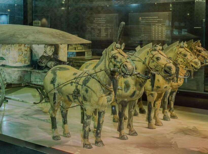 Private Tour of Terracotta Army & Tomb of First Emperor - Key points to know before booking