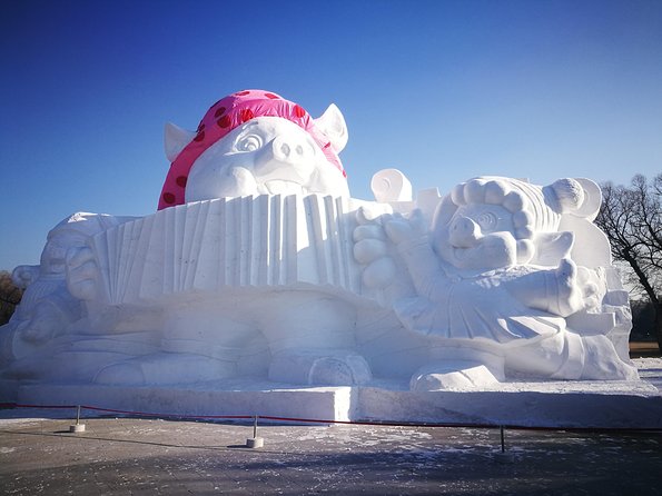 Private Tour to Ice and Snow Festival in Harbin - Why the private format matters in Harbin
