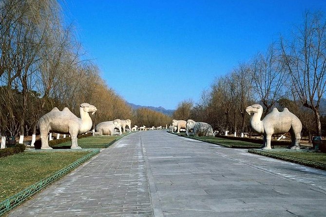 Private Tour to Mutianyu Great Wall and Ming Tombs - A private guide can change the feel of the day
