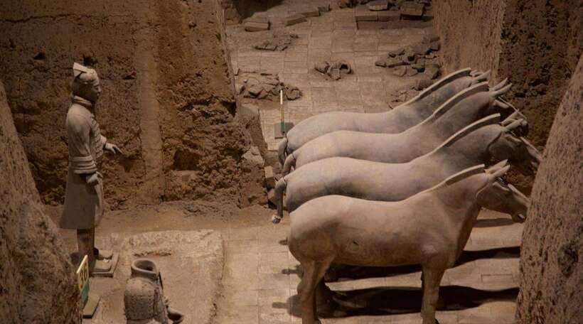 Private Tour: Xi'an’s Must-See 3 UNESCO Sites in One Day - A local Xi’an lunch between the major stops
