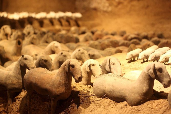 Private Xi'an Tour: Terracotta Warriors, Hanyangling Museum, Cave Homes - A 20-minute look inside a Yaodong cave home
