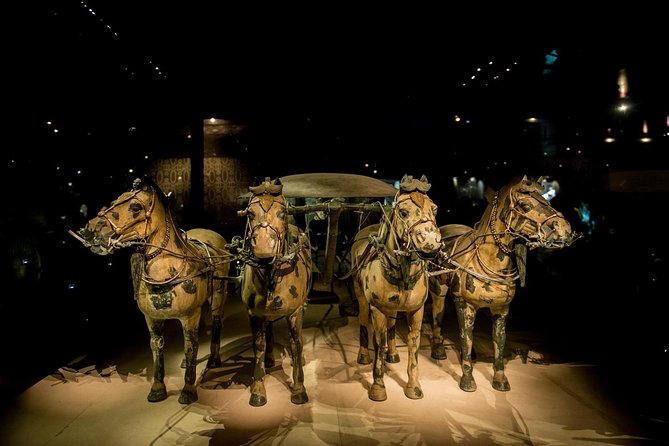 Private Xian Day Tour: Terracotta Warriors, Big Wild Goose Pagoda - Private transport makes this long day easier