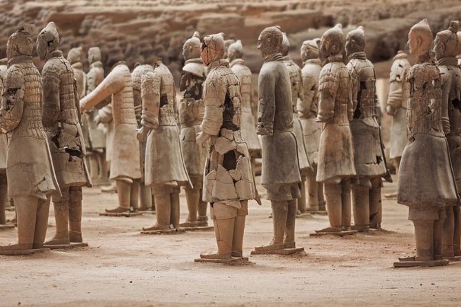 Private Xian Day Tour: Terracotta Warriors, Big Wild Goose Pagoda - Is $127 good value for this Xi’an day?